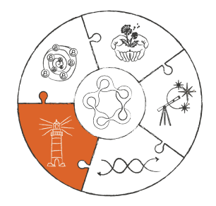 logo-aceleradora-de-politicas-publicas