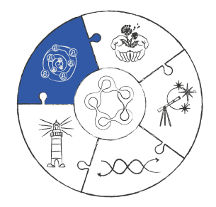 logo-aceleradora-de-politicas-publicas